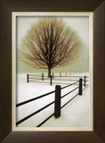 Solitude Prints by David Winston