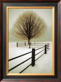 Solitude Framed Canvas Print by David Winston