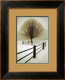 Solitude Art by David Winston
