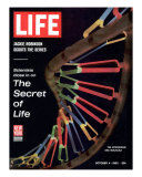 Partial DNA Helix Model, Advances in Gene Research, October 4, 1963 Lámina fotográfica por Fritz Goro Partial DNA Helix Model, Advances in Gene Research, October 4, 1963 Lámina fotográfica por Fritz Goro