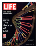 Partial DNA Helix Model, Advances in Gene Research, October 4, 1963 Premium Photographic Print by Fritz Goro