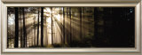 Rayos de sol a través del bosque Poster por Irving Underhill