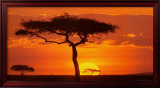 Masai Mara Plains, Kenya Print by James Urbach