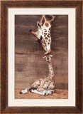 Makulu Print by Ron D'Raine