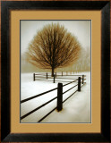 Solitude Prints by David Winston