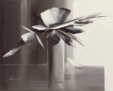Bouquet Gris I Prints by Olivier Tramoni