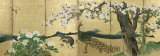 Cherry Blossoms and Peacocks Posters af Kano Sansetsu Cherry Blossoms and Peacocks Posters af Kano Sansetsu