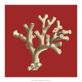 Coral on Red II Kunst