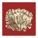Coral on Red III Plakát Coral on Red III Plakát
