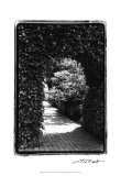 Garden Hideaway IV Arte por Laura Denardo Garden Hideaway IV Arte por Laura Denardo
