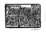 Farmer's Market VI Affiches par Laura Denardo