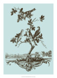 Avian Toile I Láminas
