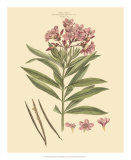 Blushing Pink Florals III Prints by John Miller (Johann Sebastien Mueller) 