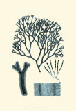 Azure Seaweed IV Prints by Harvey 