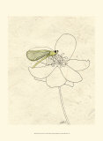 Summer Chorus II Poster by Alicia Ludwig
