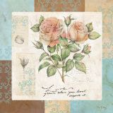 Summer Roses Posters by Tim Coffey