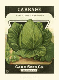 Cabbage Posters