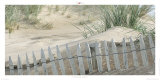Couleur Sable Art by Philip Plisson