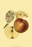 Ripe for Harvest I Prints by Heinrich Pfeiffer