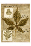 Leaf Collage III Poster by Kate Archie