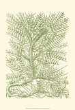 Mossy Branches III Prints by Henri Du Monceau