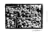 Farmer's Market V Kunstdrucke von Laura Denardo