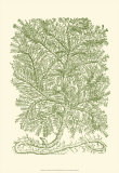 Mossy Branches IV Posters by Henri Du Monceau