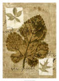 Leaf Collage IV Art by Kate Archie
