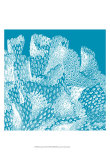 Saturated Coral IV Prints