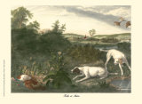 Folle Et Mitte Láminas por Alexandre-Francois Desportes Folle Et Mitte Láminas por Alexandre-Francois Desportes