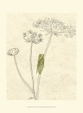 Summer Chorus I Prints by Alicia Ludwig