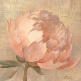 Sweet Peony Poster von Albena Hristova