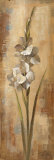 Floral Grace I Posters par Silvia Vassileva