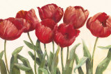Ruby Tulips Poster by Carol Rowan
