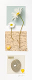 Serenity Posters by Deborah Schenck