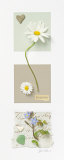 Simplicity Prints by Deborah Schenck