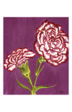 Purple and White Carnations Print by Elise Ferguson Purple and White Carnations Print by Elise Ferguson