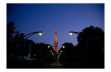 Tokyo Tower: Night Prints by Takashi Kirita