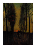 Lane of Poplars at Sunset Reproduction procédé giclée par Vincent van Gogh