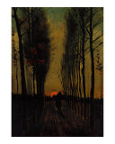 Lane of Poplars at Sunset Giclee Print by Vincent van Gogh