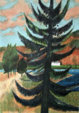 Le sapin du lac Limited Edition by Guy Bardone