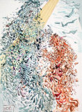 DC Paradis 11 - Opposition Edición limitada por Salvador Dalí