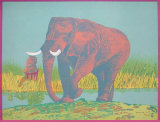 Elefante III Limited Edition by Antonio Segui