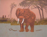 Elefante I Limitierte Auflage von Antonio Segui