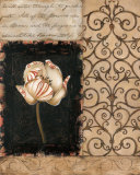 Night Florescence II Prints by Carol Robinson