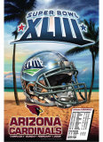2008-09 NFC Champions Arizona Cardinals Poster