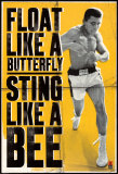 Muhammad Ali - Float like a Butterfly Photo