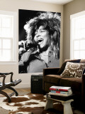 Tina Turner Wandgemälde