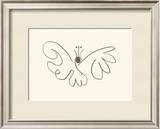 The Butterfly Art by Pablo Picasso