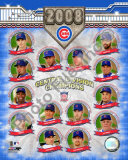 2008 Chicago Cubs Central Division Champions Foto